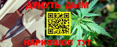 молекула духа Кингисепп