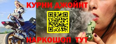 молекула духа Кингисепп