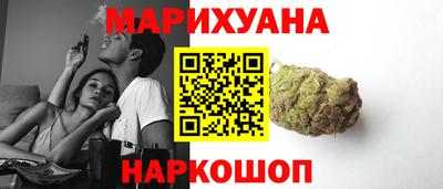 молекула духа Кингисепп