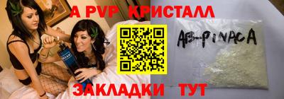 молекула духа Кингисепп