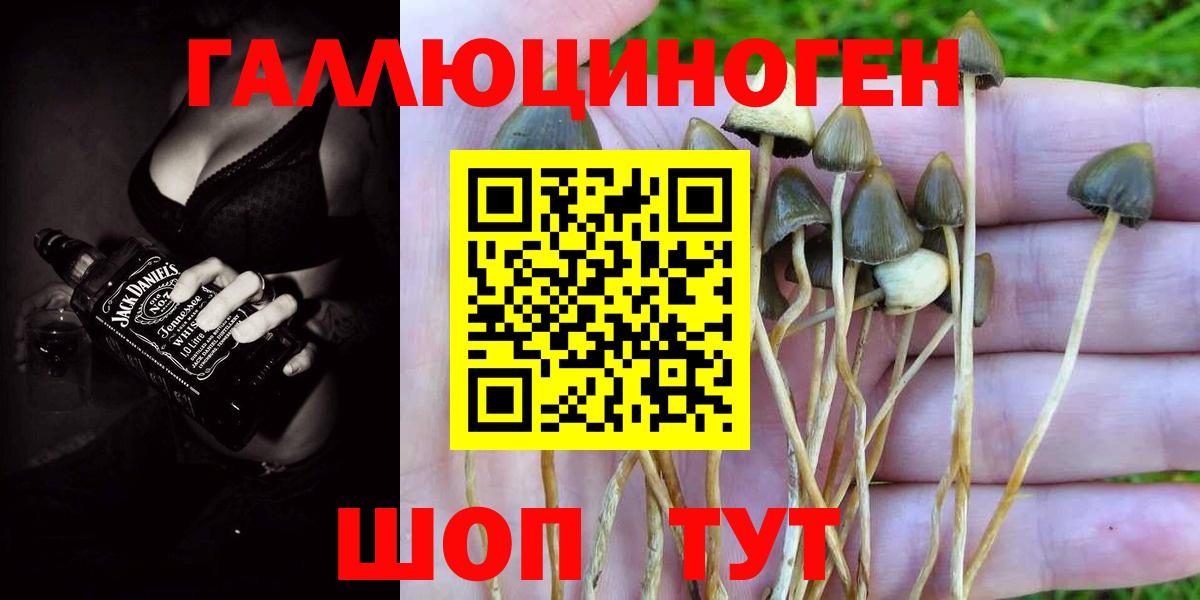 наркошоп  Псилоцибиновые грибы ЛСД  Коломна  Вход с VPN  Галлюциногенные грибы Cubensis 