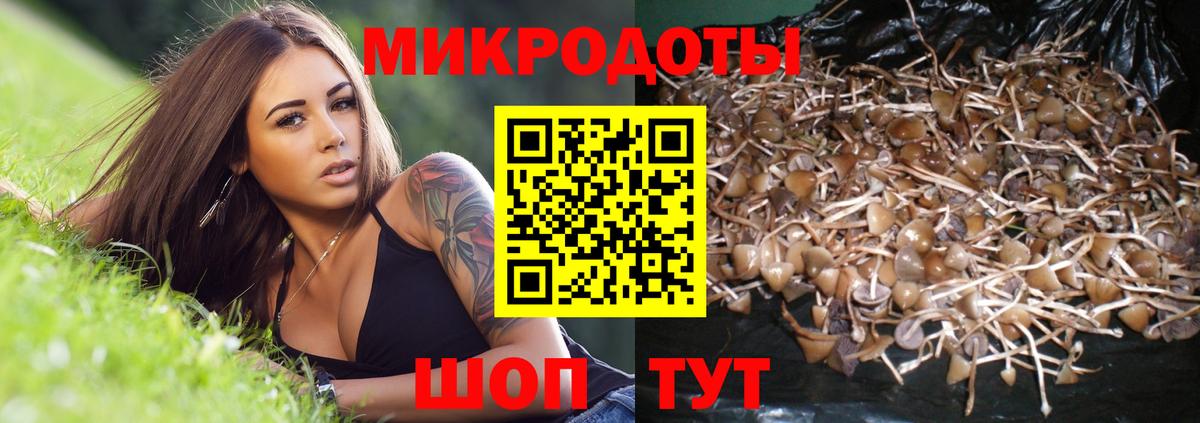 Псилоцибиновые грибы Cubensis Коломна